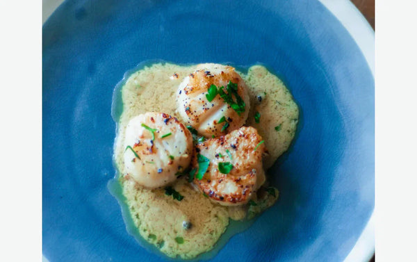 Seared Scallop Appetizer with Savory Garlic & Butter Sauce