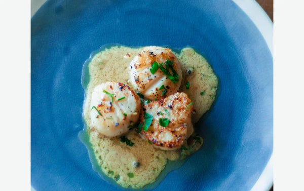 Seared Scallop Appetizer with Savory Garlic & Butter Sauce
