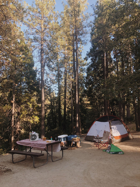 Le Sauce Makes Camping and Cooking Easier for Everyone