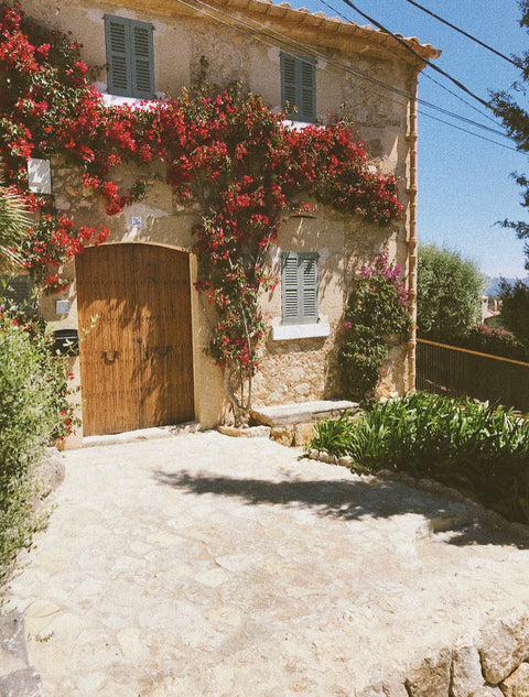A Taste of the French Countryside: Cooking with Savory Provençal Sauce