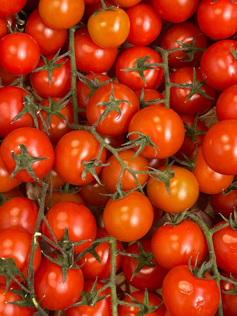 What to Make with Le Sauce &amp; Co. Gourmet Pasta Sauces