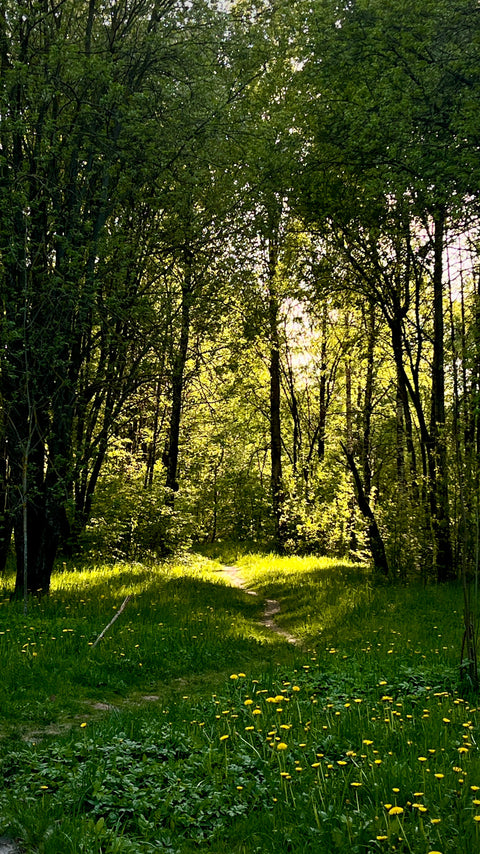 Why Le Sauce & Co. Chose Pouch Packaging: A Greener, Smarter Step Toward a Sustainable Future